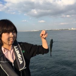 強風でもタチウオ