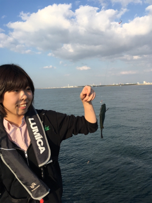 強風でもタチウオ