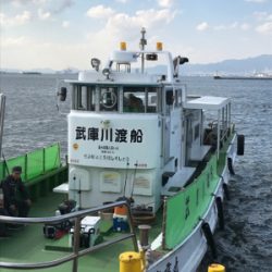 タチカッターにもめげずにFLAP