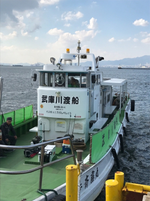 タチカッターにもめげずにFLAP