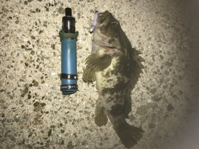 エギング断念からのいつもの場所で短時間