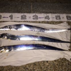 アタリが多いです