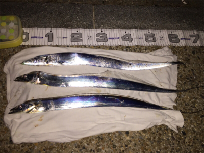 アタリが多いです