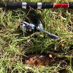 LSJigginger0700〜1000