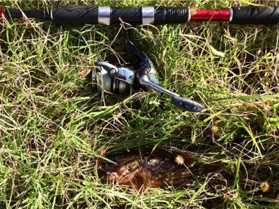 LSJigginger0700〜1000