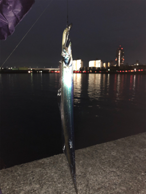 初タッチ〜‼️…