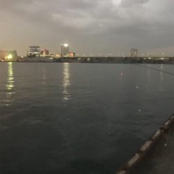 短時間釣行で。