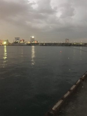 短時間釣行で。