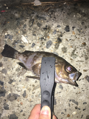 雨の日は橋の下で