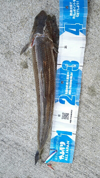 2018年10月27日釣行in船越漁港