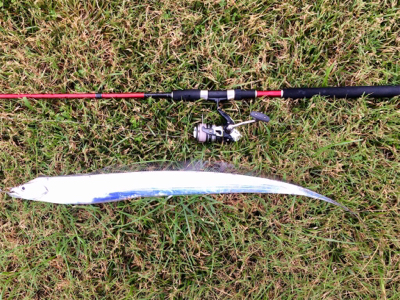 LSJigginger0658〜0735