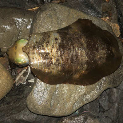 なんとか・・‼️…