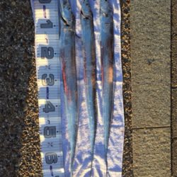 西風が強く、寒かった