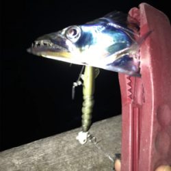 渋くてツライ(笑)