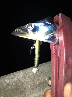 渋くてツライ（笑）