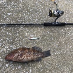 まさかのオオモンとかナブラとかとか