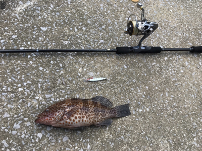 まさかのオオモンとかナブラとかとか