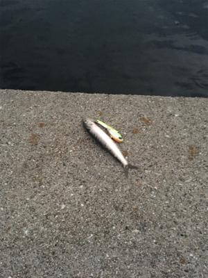 キリがない太刀乱舞！