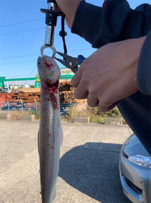 またまたドデカエソ