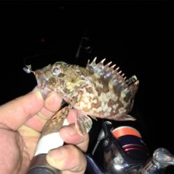 久しぶりのメバリング