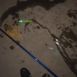 たまには1人で釣り