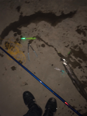 たまには1人で釣り