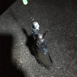 アタリはあるけど