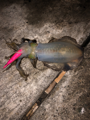 1投目のジンクス(泣)