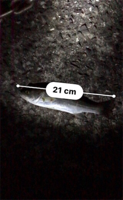 釣友会メンバーと