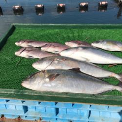 じゃのひれフィッシングパークにて