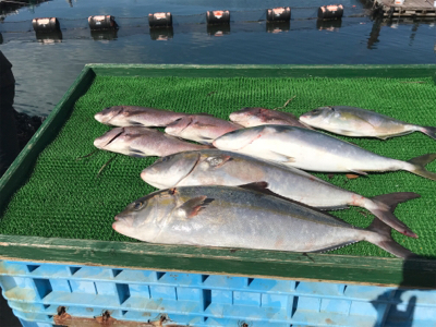 じゃのひれフィッシングパークにて