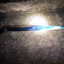 どうしても竿振りたくてσ^_^;