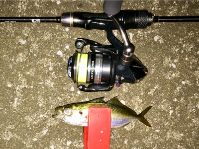 アジンガー1815〜1935