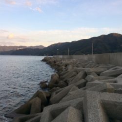 相生漁港で太刀魚テンヤ