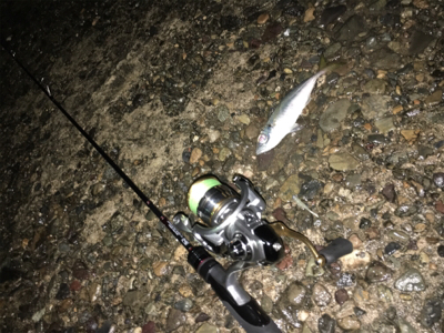 早朝ライトゲーム