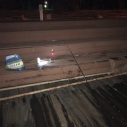 時合いは楽しい