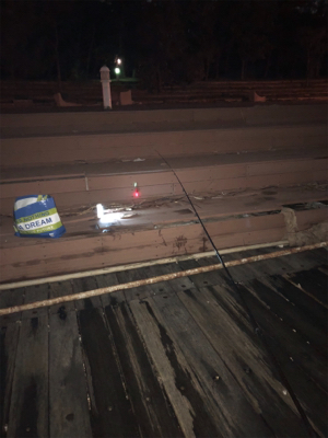 時合いは楽しい