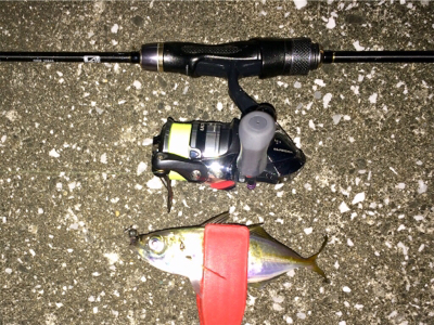 アジンガー1715〜1745 2002〜2025