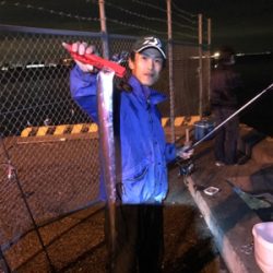 DAYノマセタチウオ