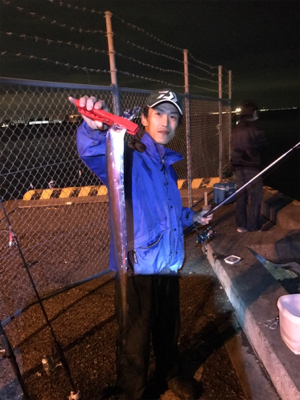 DAYノマセタチウオ