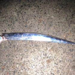 武庫一、タッチ〜勝負