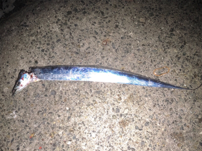 武庫一、タッチ〜勝負