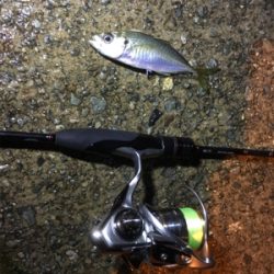 ナイトアジング