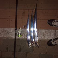 今夜もアタリ多数でした