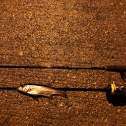 仕事終わりにライトゲーム