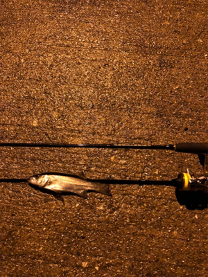 仕事終わりにライトゲーム