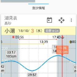 マイクロガッシー