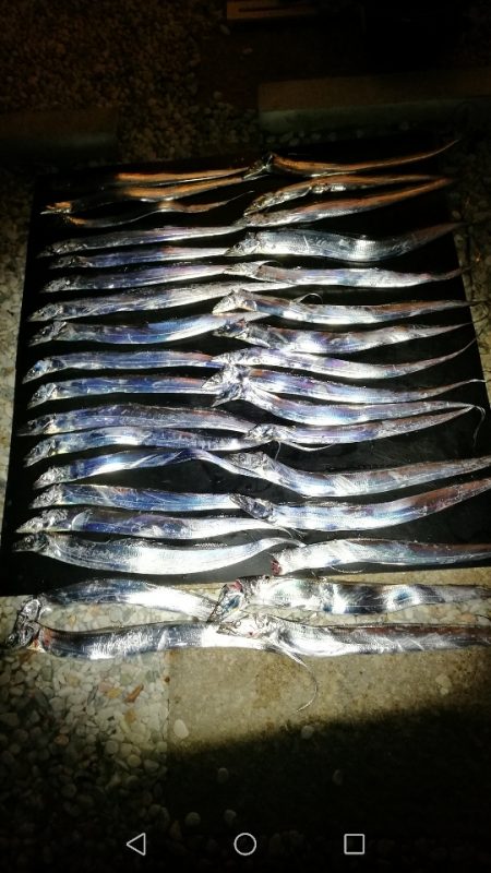 久々武庫川一文字