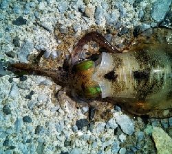 爆風の中の釣果