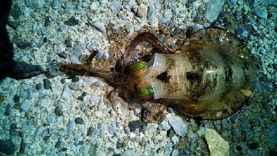 爆風の中の釣果